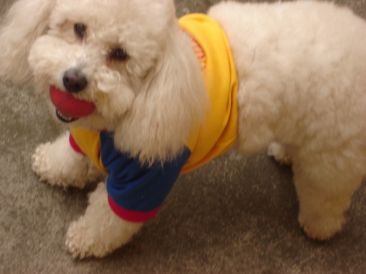 Con la camiseta de la selección Colombia! (aunque perdimos sniffffffff) Con la camiseta de la selección Colombia! (aunque perdimos sniffffffff)
